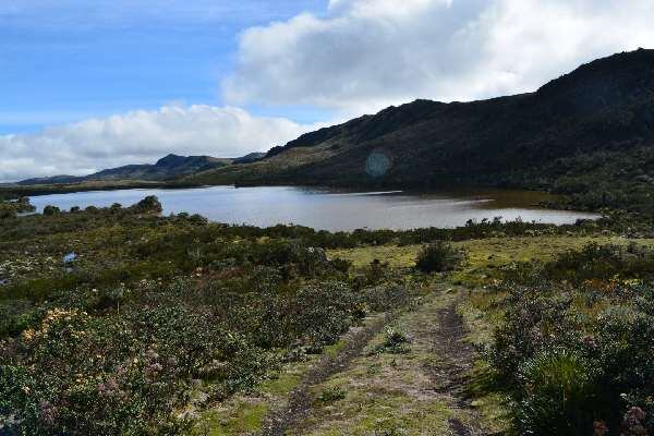 Comunidades y expertos se reúnen para definir el futuro sostenible de los páramos