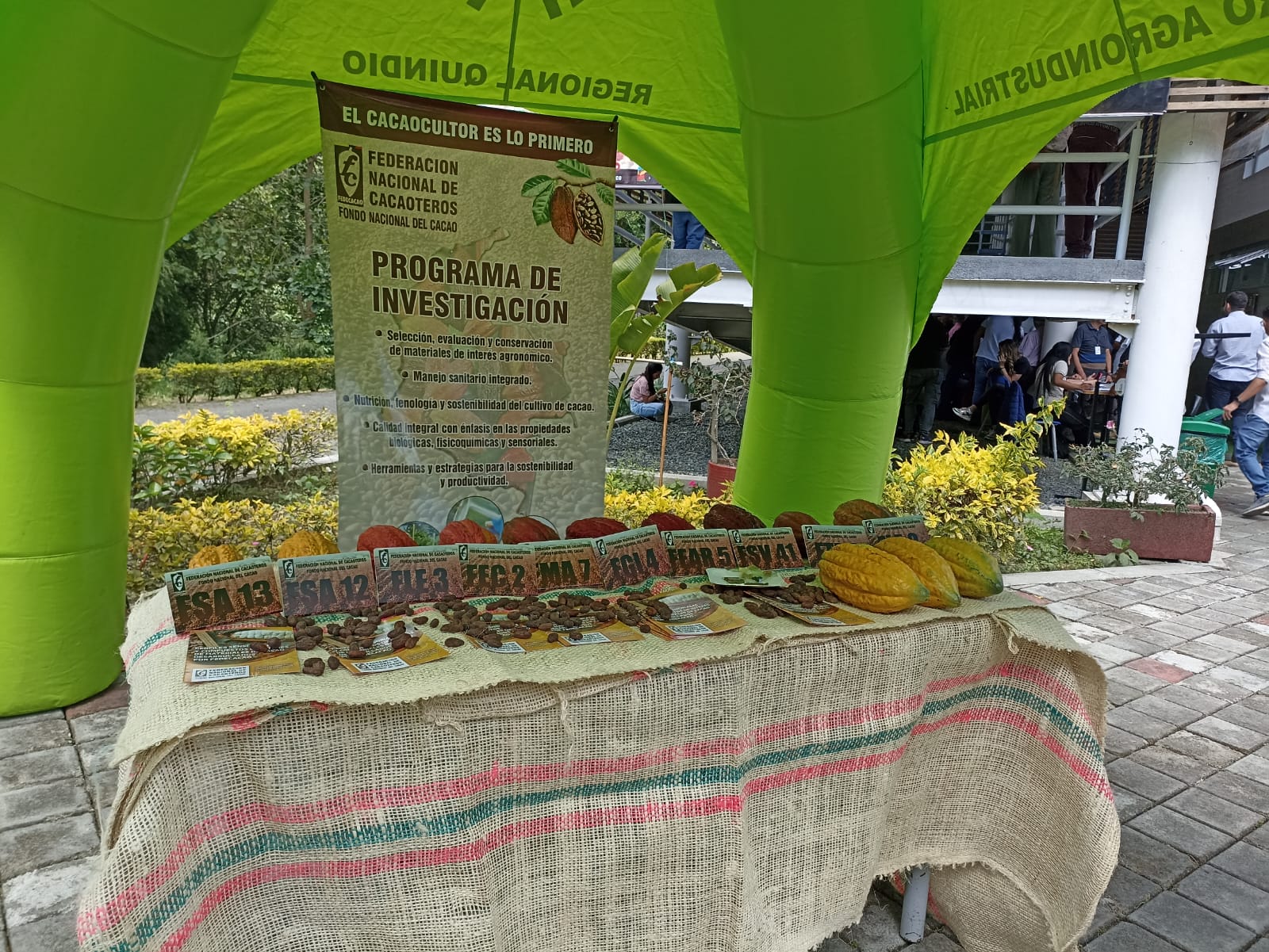 Con exposición de los mejores cacaos del Quindío, inauguración Escuela Nacional de Calidad del Cacao