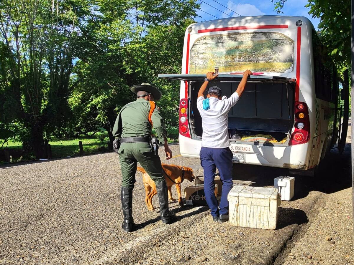 Con una perra Policía de Bolívar busca detectar grandes cantidades de dinero en elecciones