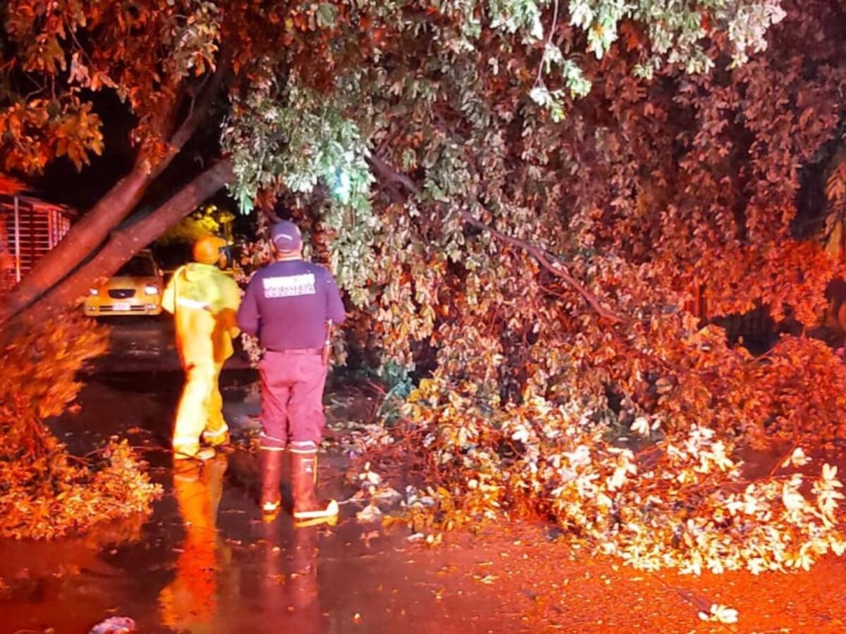 Graves afectaciones por lluvias en Neiva