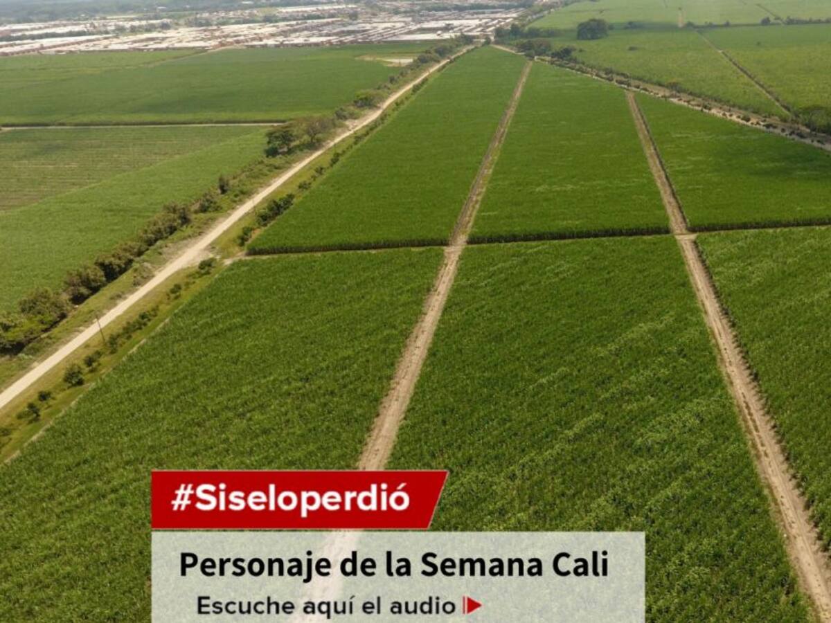 El sector azucarero y su presente, FFAA contra el narcotráfico y minería