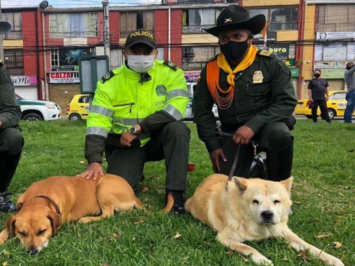 El rescate de Osito y Pudin, perritos que escaparon de CAI por disturbios