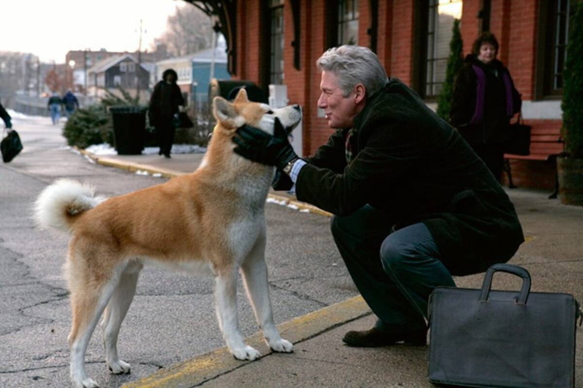 'Hachiko' de la película 'Siempre a tu lado' (2009)