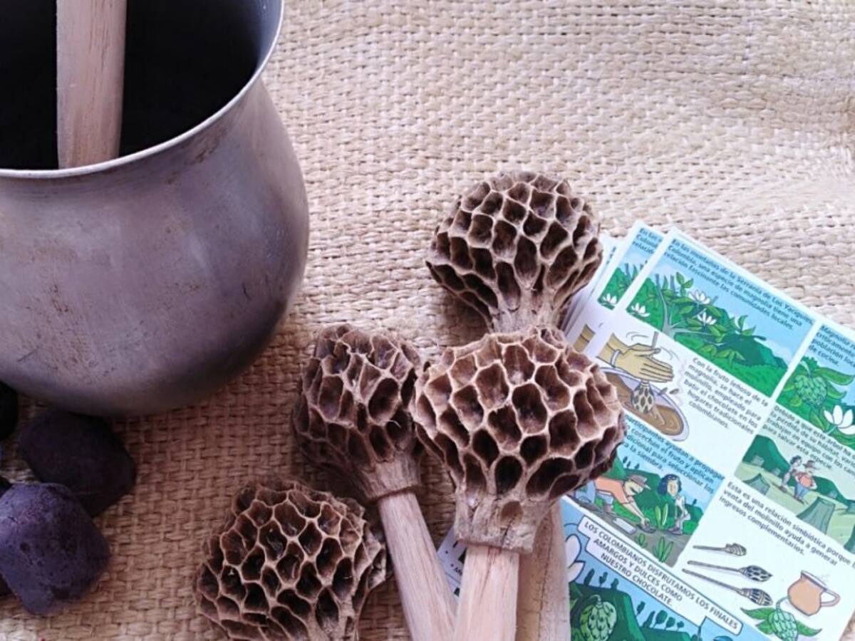 Así salvaron las magnolias y la costumbre de batir chocolate con molinillo