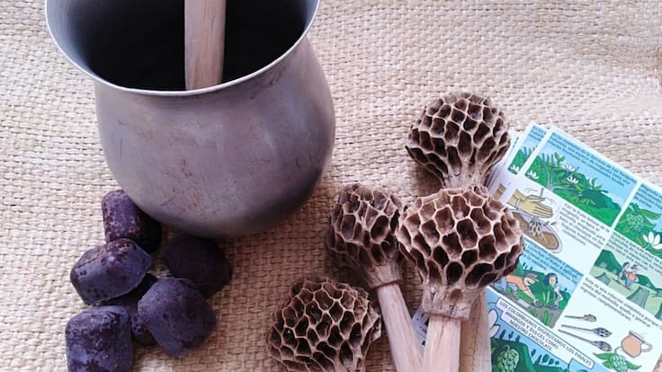 Melisa Ayala, bióloga explica el proceso para salvar el árbol de magnolias