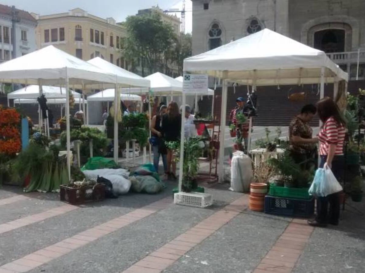 Bajó el desempleo en Manizales. El indicador se ubica en el 9,7 por ciento