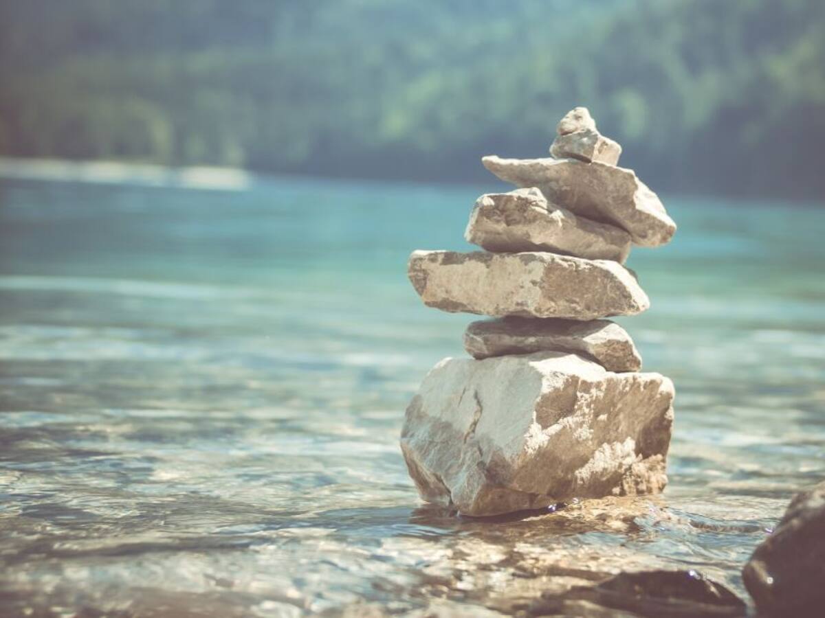 Mindfulness para la plenitud emocional