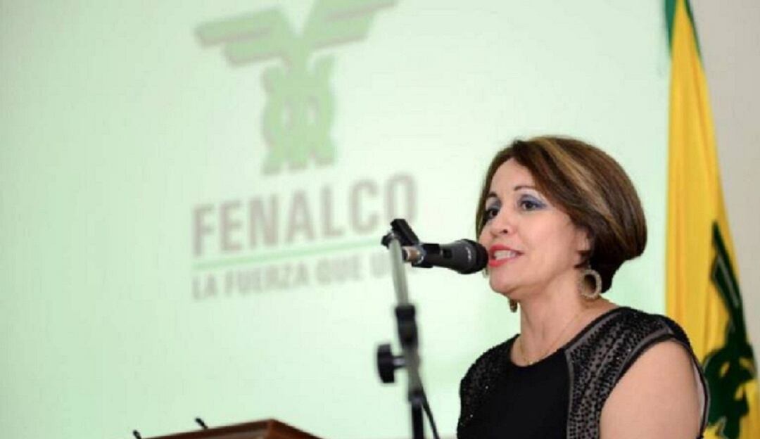 Gladys Navarro, Directora Ejecutiva de Fenalco 