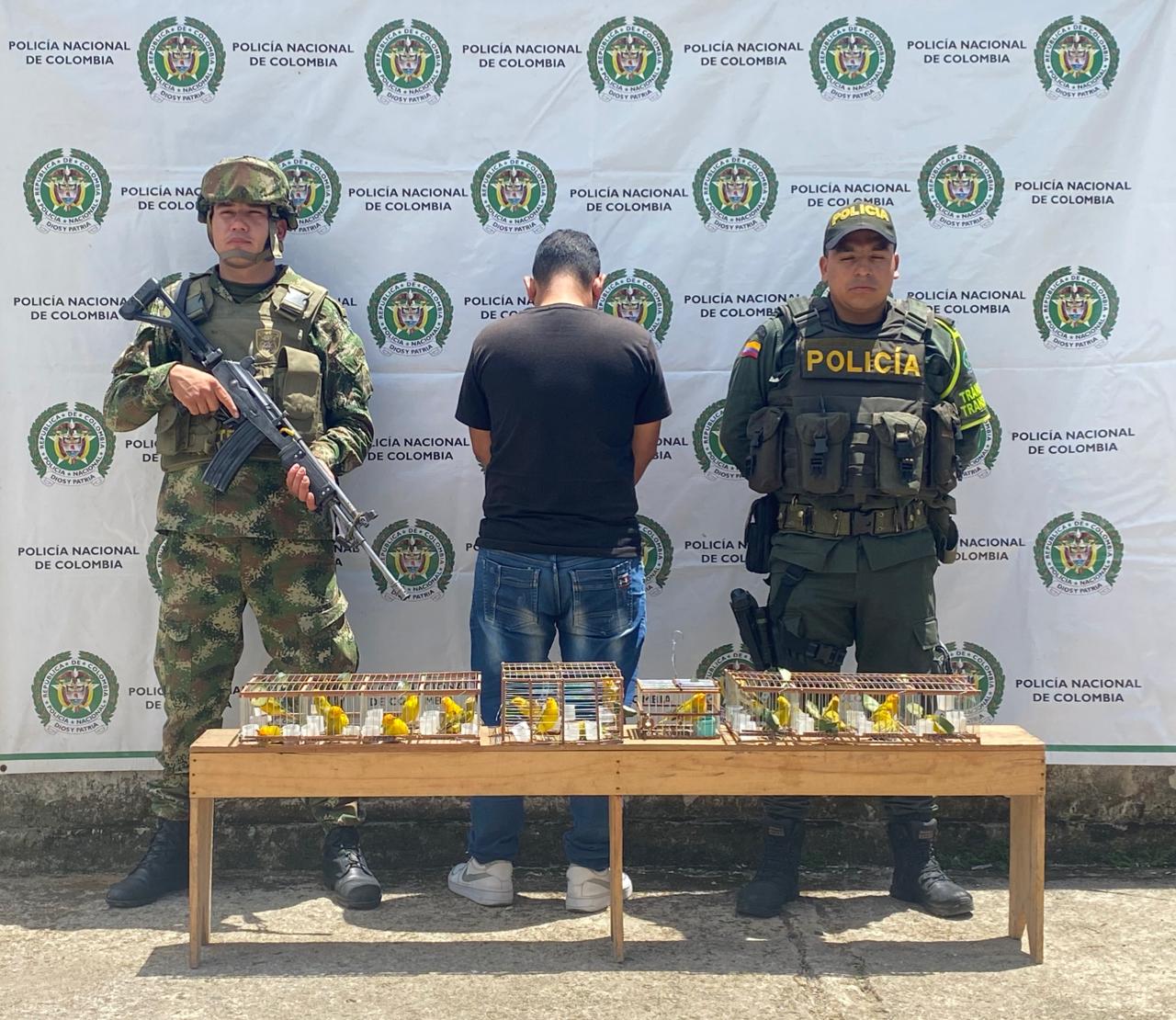 Estas especies fueron finamente puestas a disposición de Corpoamazonía quienes adelantarán el proceso de rehabilitación y posterior liberación.