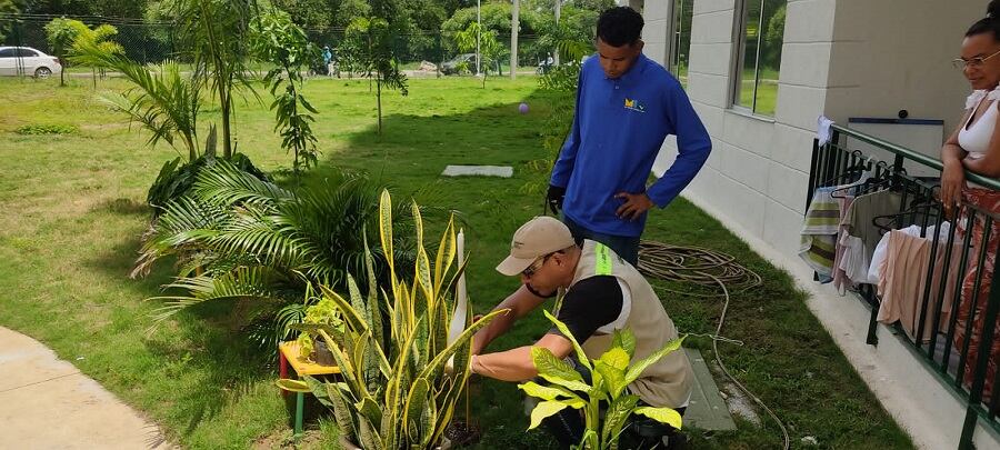 Alcaldía de Cartagena