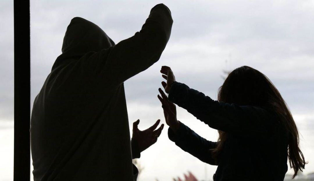 Imagen de referencia 