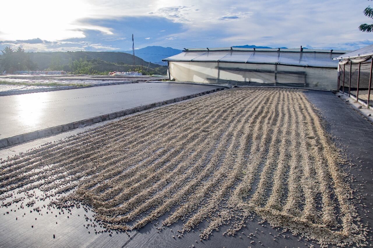 reglamento 1115, acciones enmarcadas dentro del piloto liderado. Foto Gobernación del Huila.