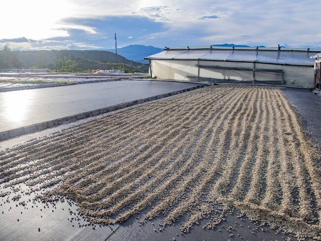 reglamento 1115, acciones enmarcadas dentro del piloto liderado. Foto Gobernación del Huila.