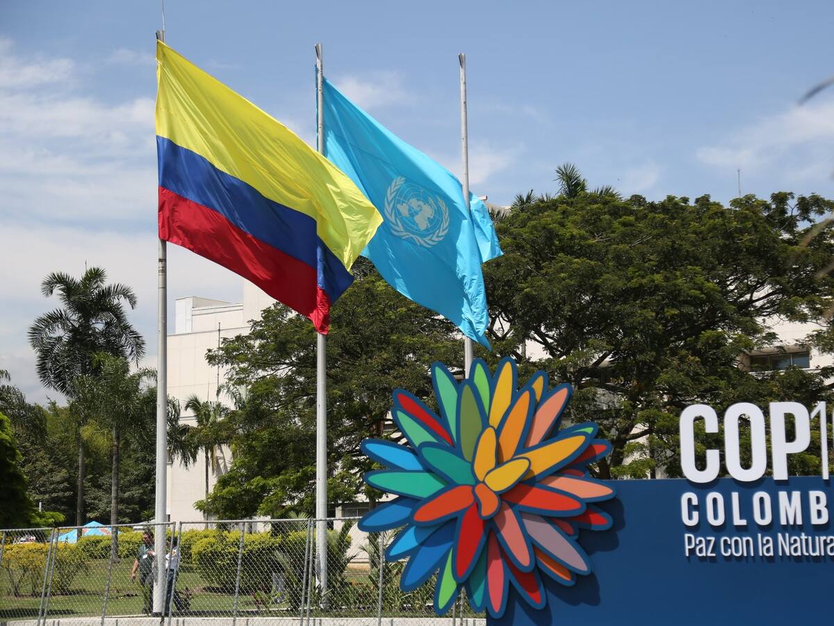 La ‘Zona Azul’ de la COP16 fue entregada a la ONU y es territorio internacional
