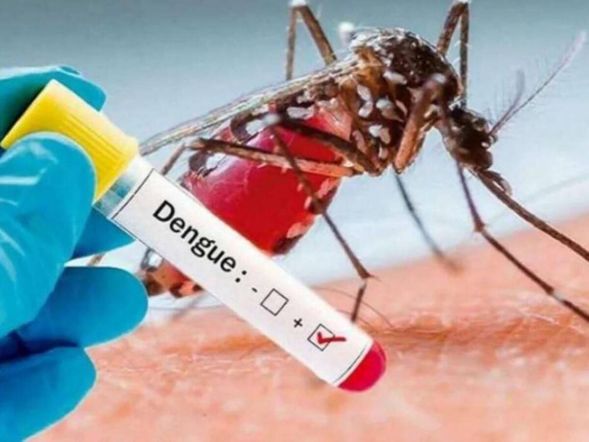 Cerca de 700 casos de dengue en Pereira y Dosquebradas