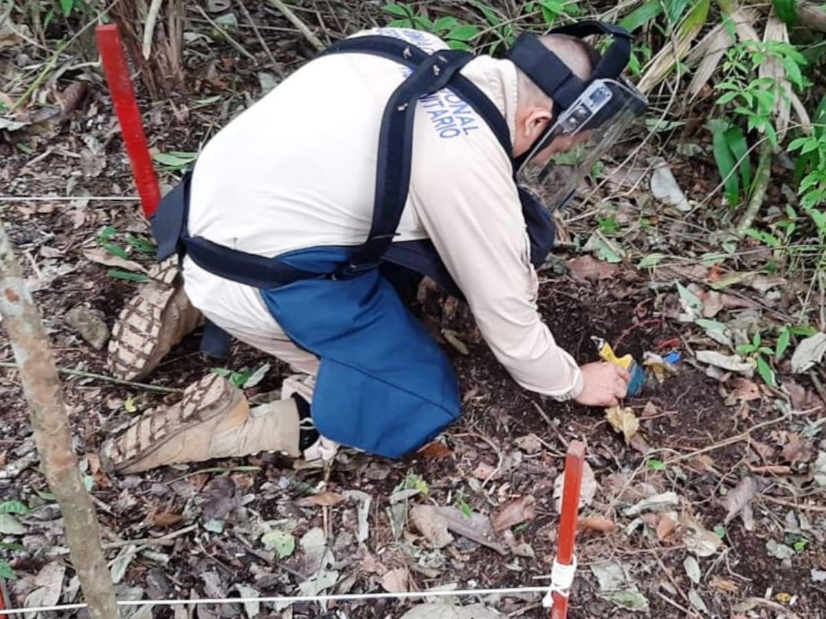 Armada entregó 4 áreas libres de minas antipersonal en los Montes de María