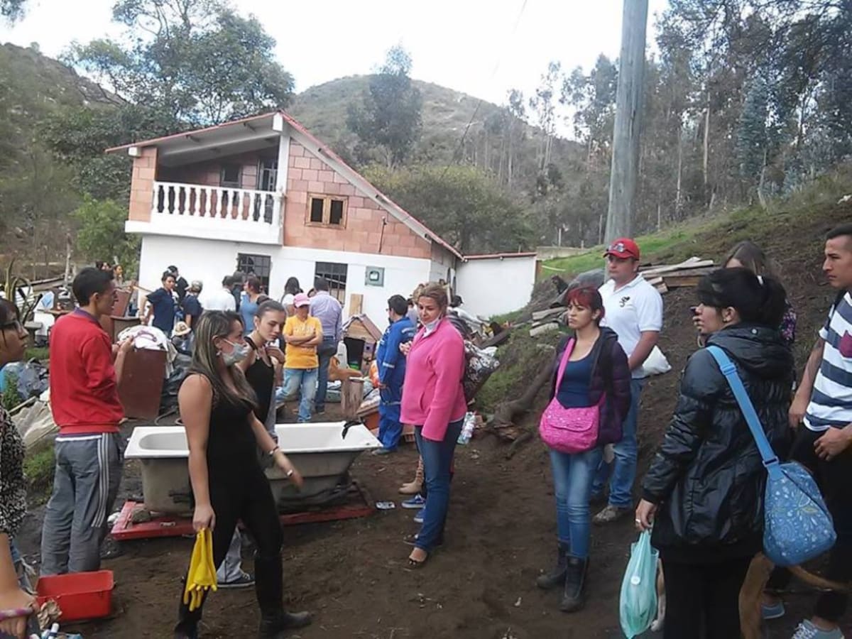 Los voluntarios que llegaron al lugar se encontraron también con esqueletos de perros que ya habían sido comidos por sus compañeros. 