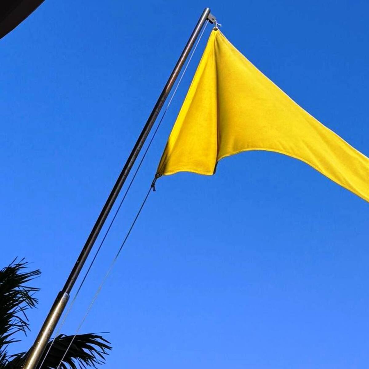 Bandera Amarilla por parte de la Dimar Cartagena y se reactivan viajes hacia las Islas del Rosario