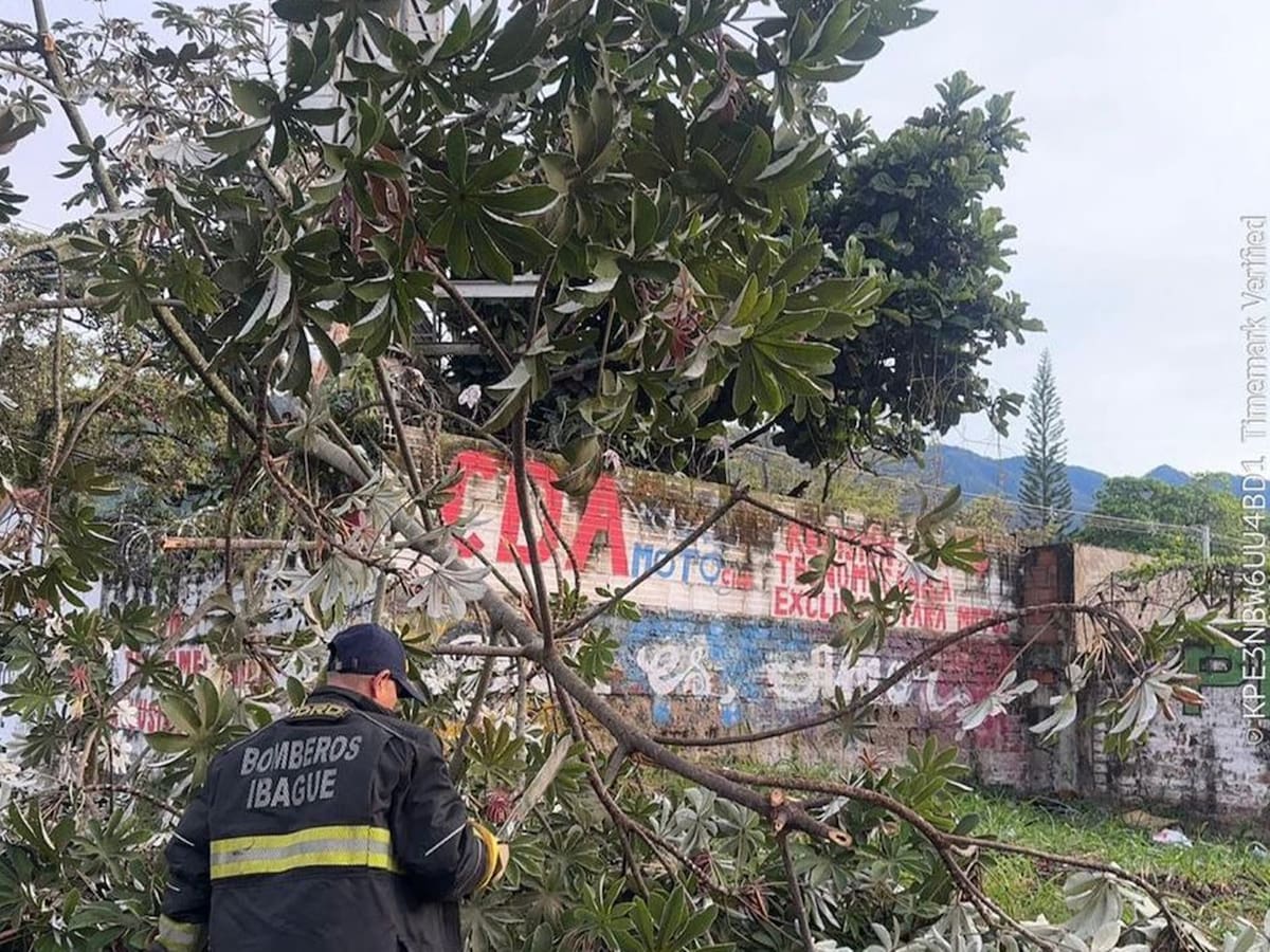 Más de 20 barrios presentaron emergencias en medio de un fuerte aguacero en Ibagué