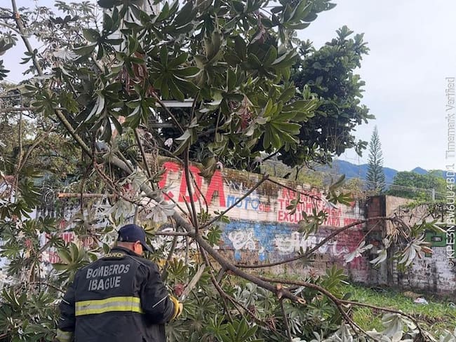 Lluvias ocasionan más de 20 emergencias en Ibagué