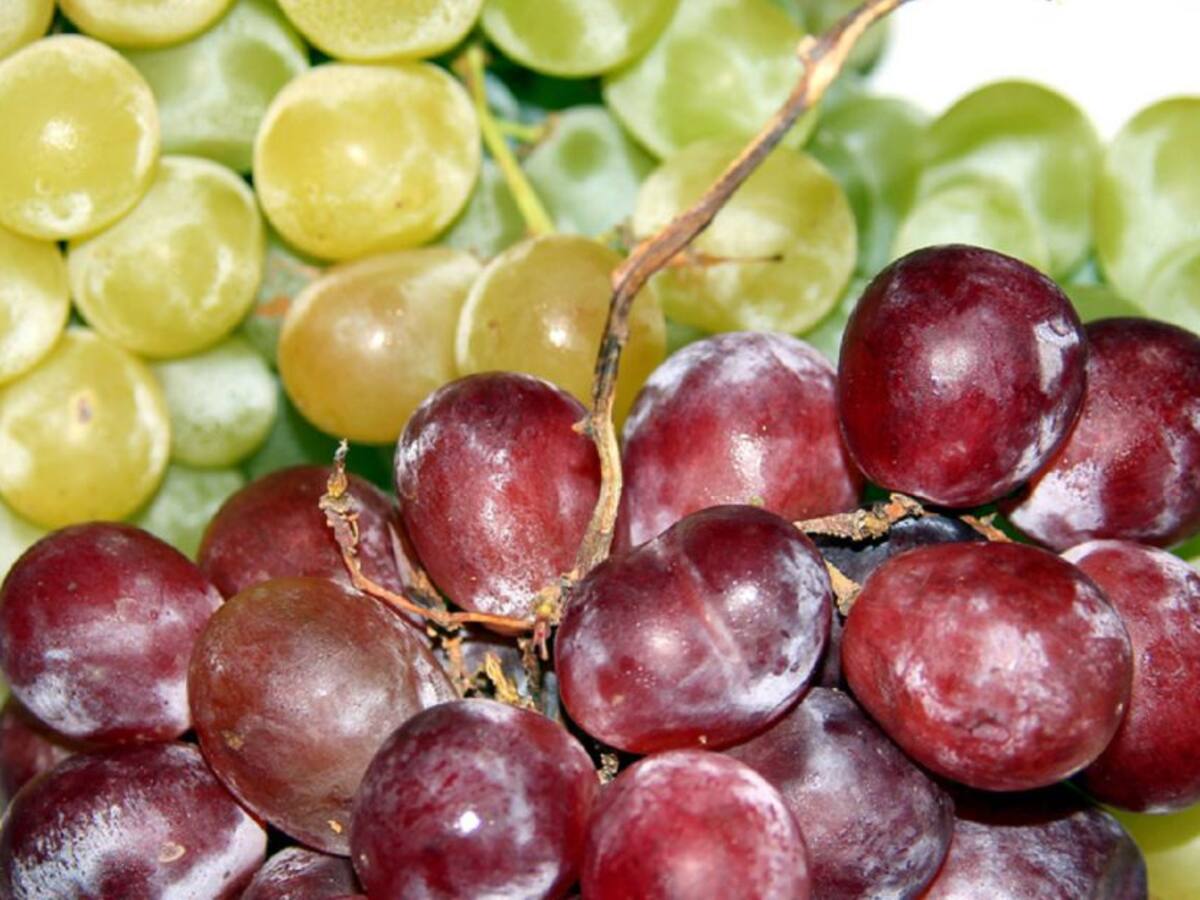 ¿De dónde viene la tradición de comerse 12 uvas cuando acaba el año?