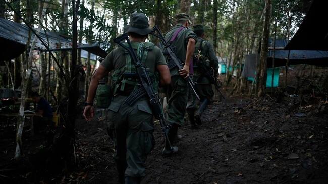 Guerrilleros de las Farc - Imagen de referencia. Foto: Colprensa - Juan Páez