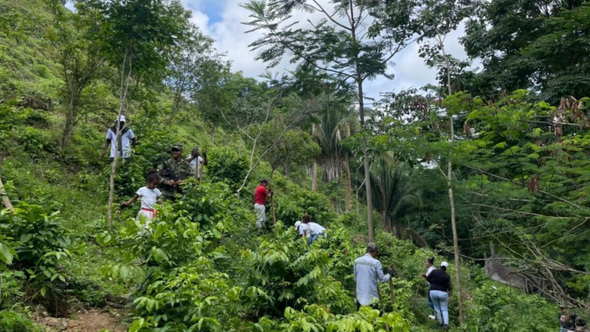 Siembran 2.500 árboles en reserva forestal del municipio de Aracataca