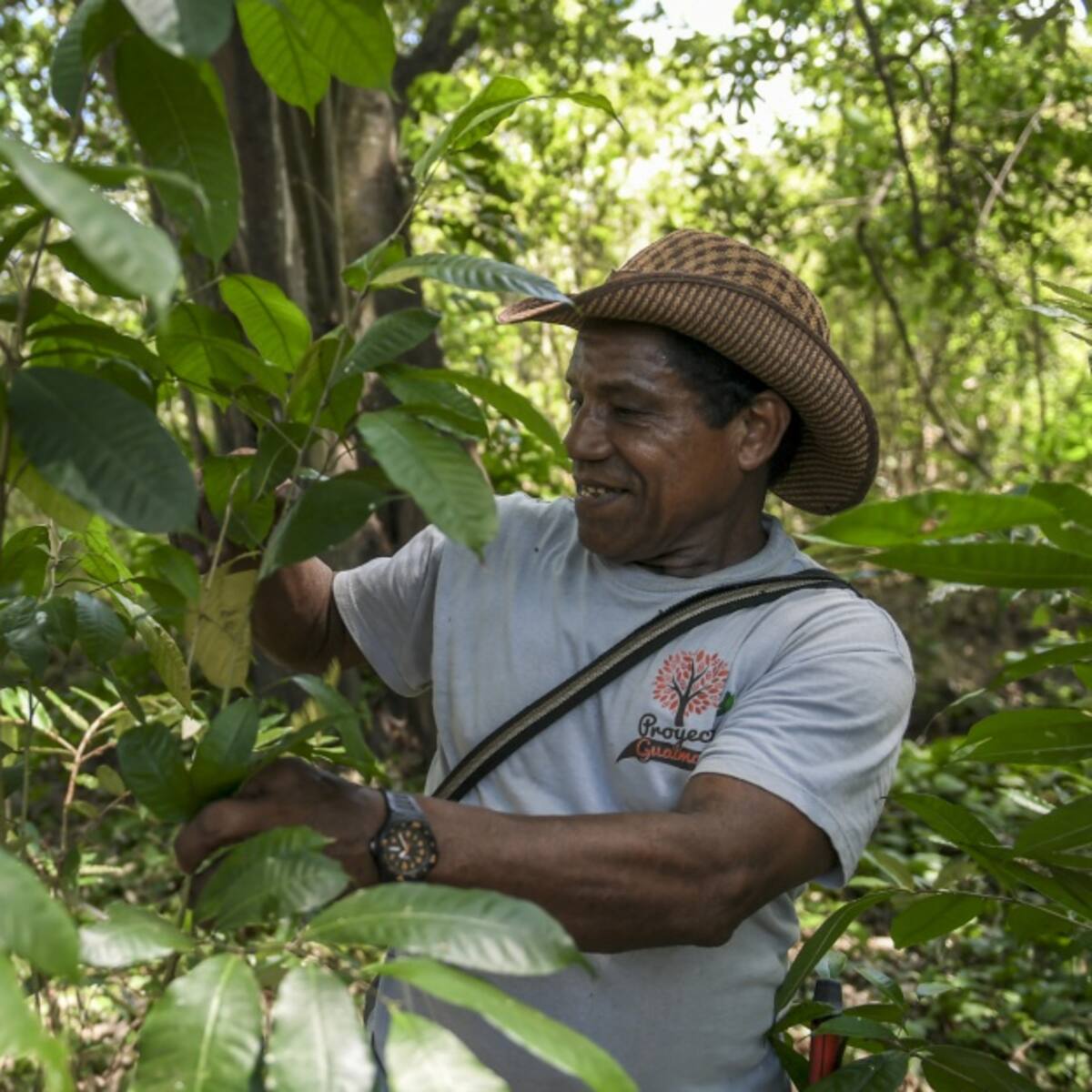 La Guajira, departamento con enorme potencial agrícola, pero sin apoyo