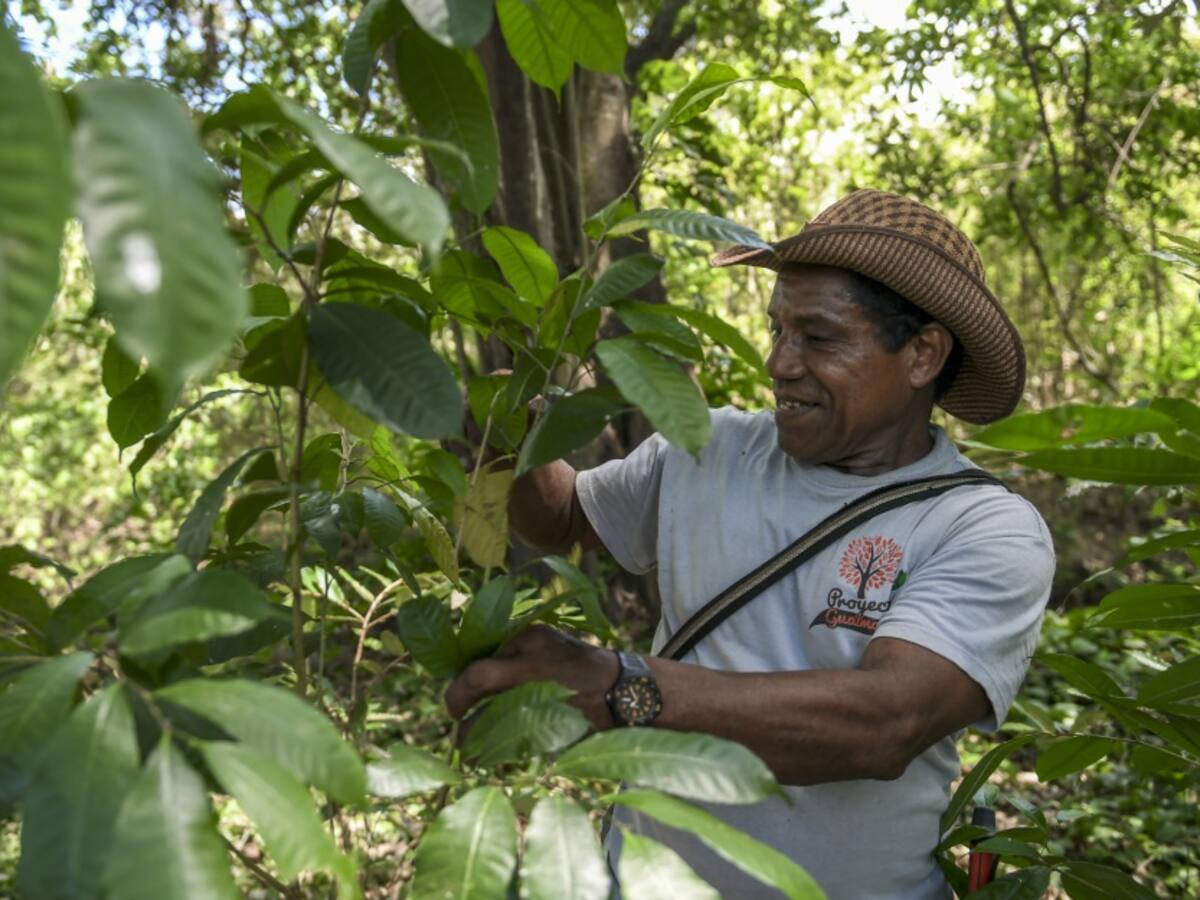 La Guajira, departamento con enorme potencial agrícola, pero sin apoyo