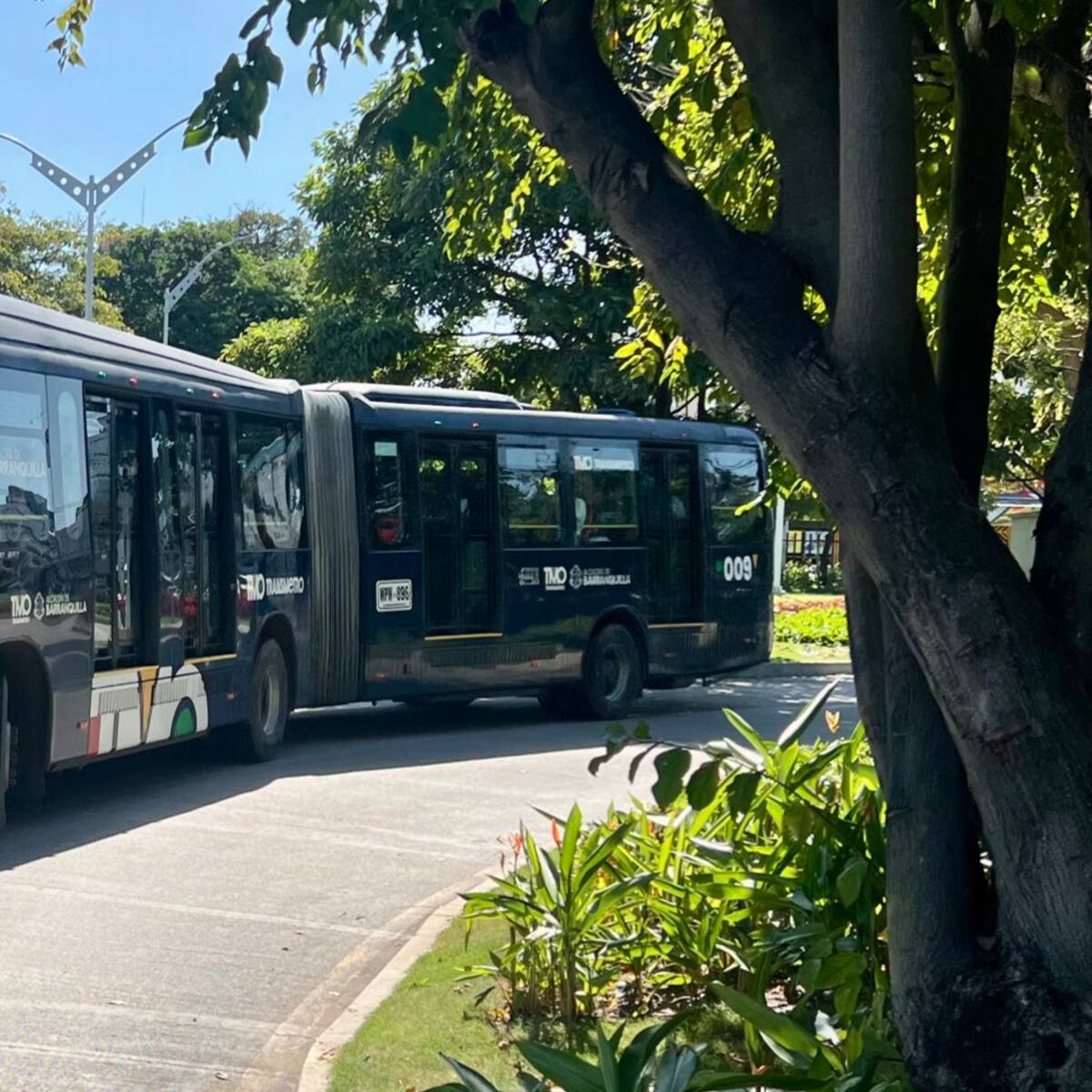 Transmetro tendrá operación especial por Lectura del Bando