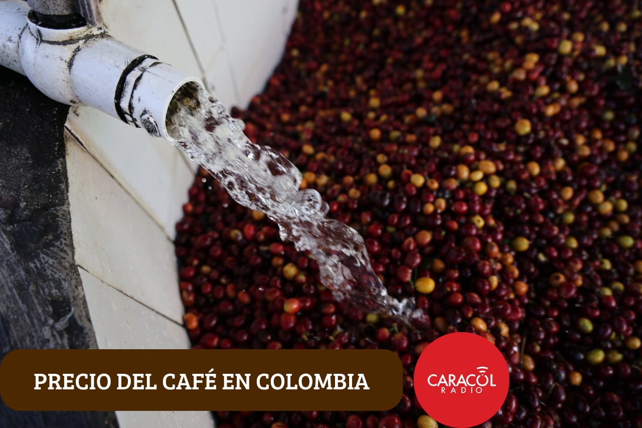 Imagen de refencia. Café colombiano: Getty Images.