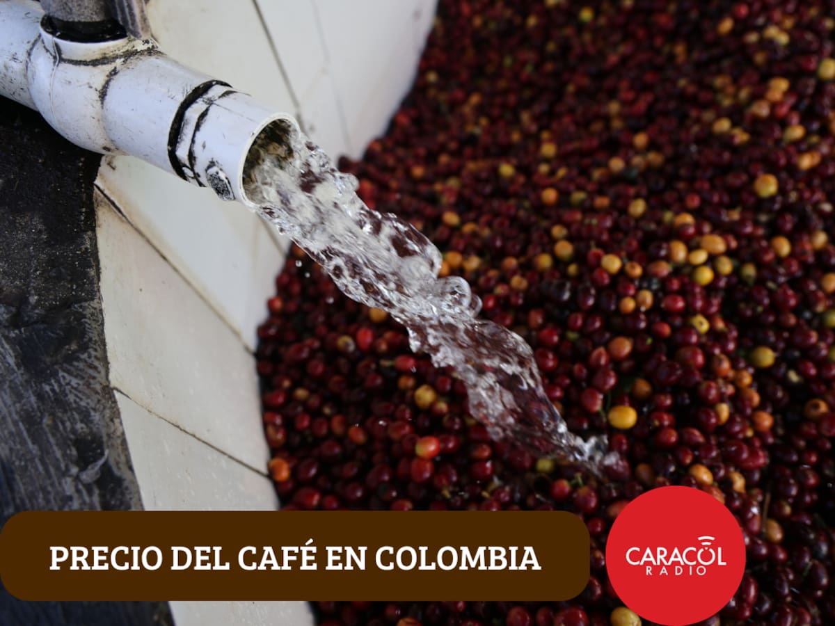 Así cerró la semana el café: Cotización oficial de la carga de 125 kg para HOY 20 de marzo