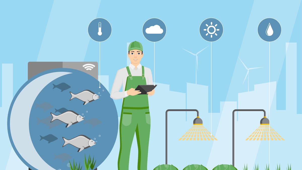 La acuaponía, un sistema que nos garantiza una alimentación sana