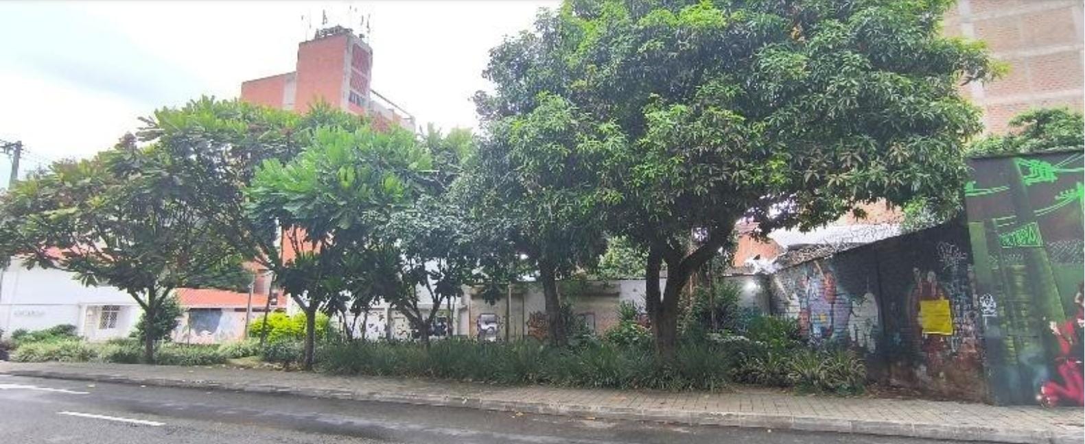 Foto: Cortesía