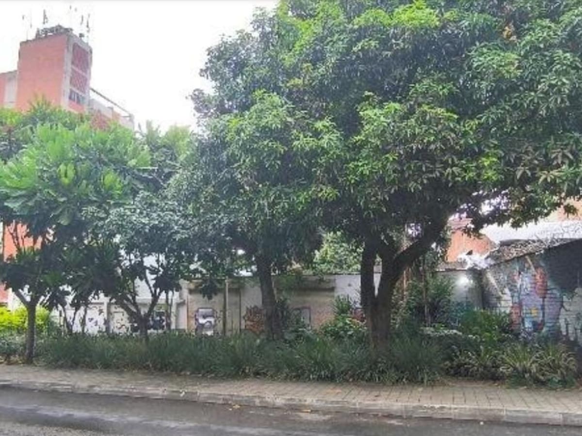 Habitantes del barrio Astorga piden proteger el Parque del Silencio como pulmón verde de El Poblado