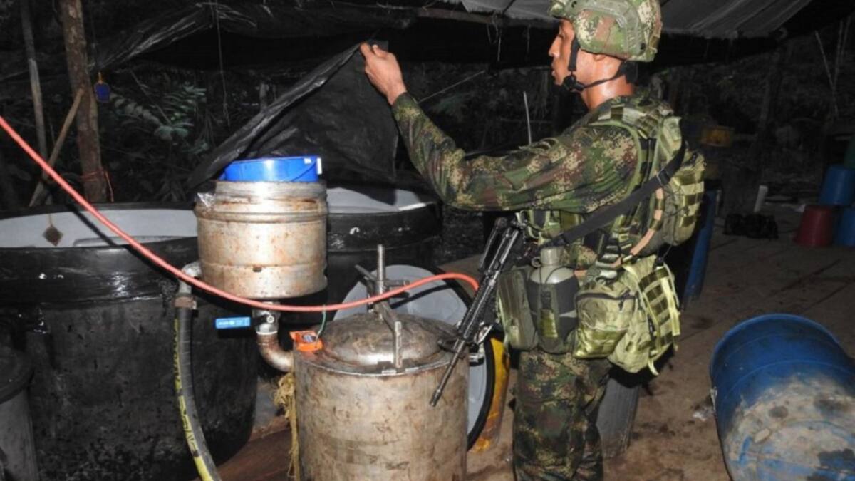 Gobierno destaca informe de EE.UU. sobre reducción de producción de cocaína