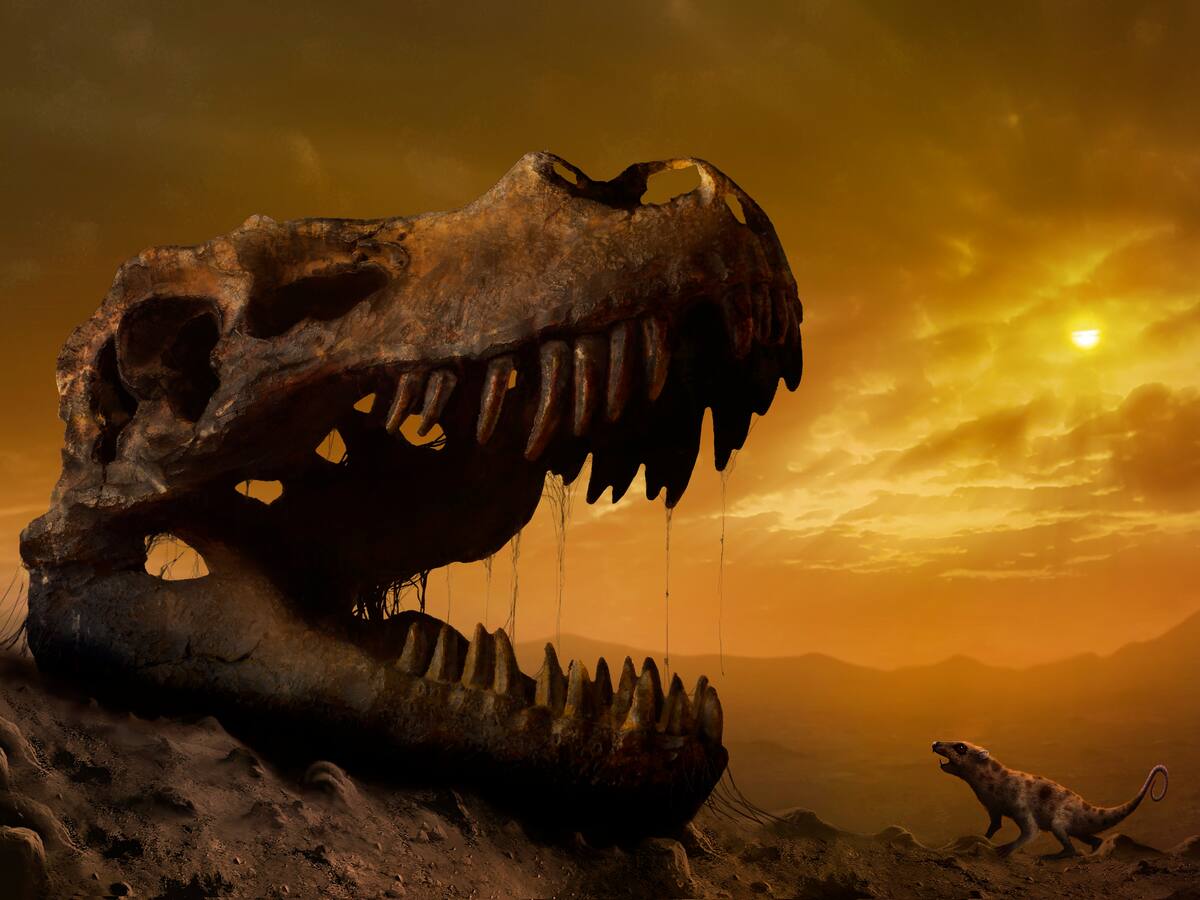 Fósiles hallados en Sudamérica revelarían lo que ocurrió al momento de su extinción masiva