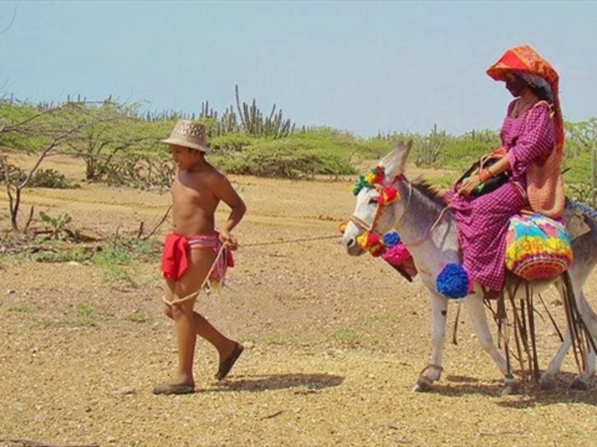 Hambre y sed azotan a los wayúu en La Guajira