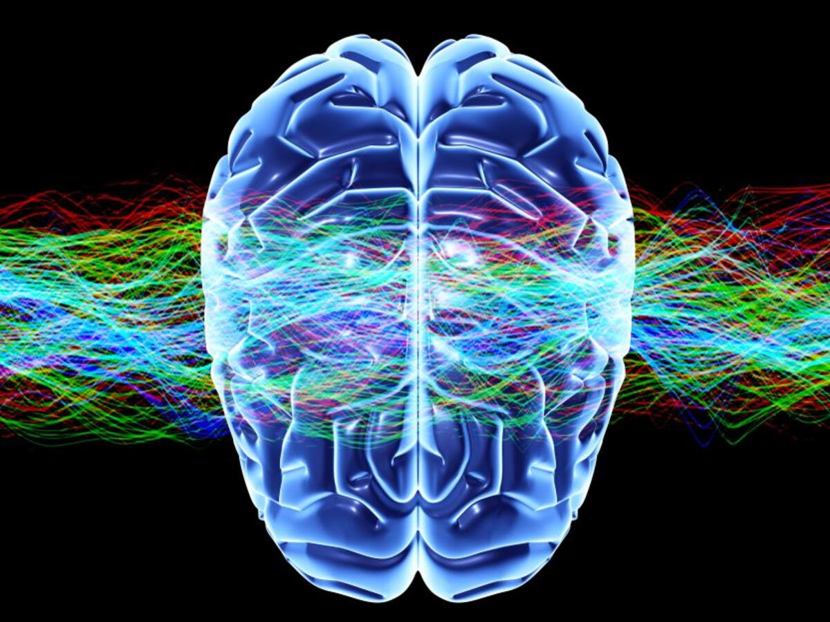 Gracias a la neurociencia usted podrá mejorar sus hábitos cotidianos