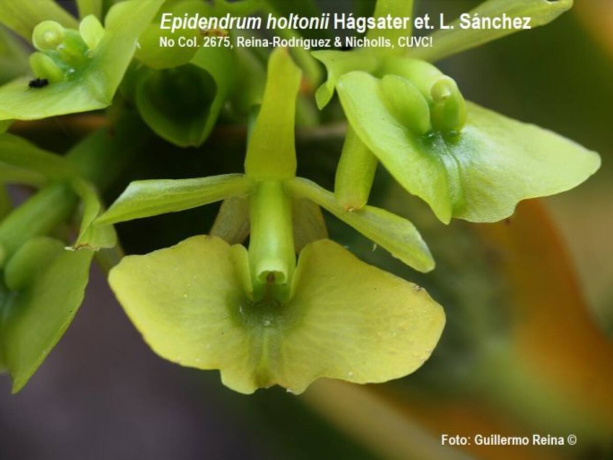 El Valle del Cauca sigue sorprendiendo con su riqueza natural