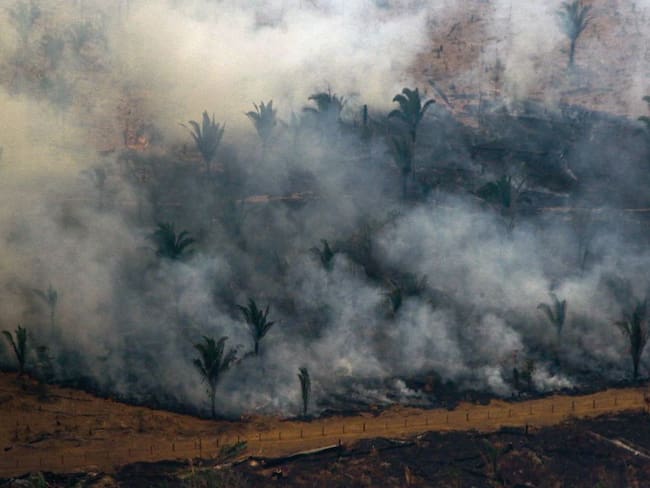 Brasil combate incendios en Amazonía tras aparición de nuevos focos