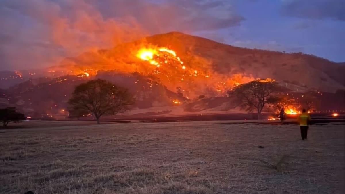Cundinamarca en llamas: Bomberos controlan 14 incendios forestales