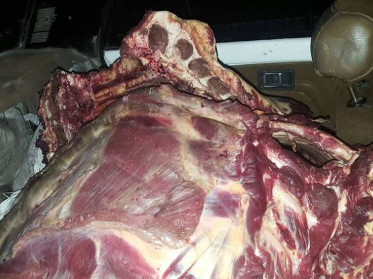 Colombia ad portas de exportar carne a la China: Minagricultura