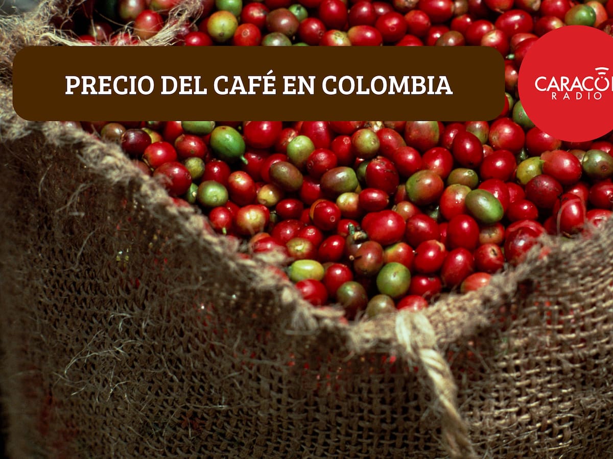 Precio del café HOY 11 de marzo en Colombia según la Federación Nacional de Cafeteros