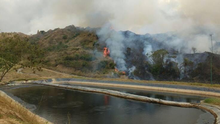 Reportan incendio en El Carrasco