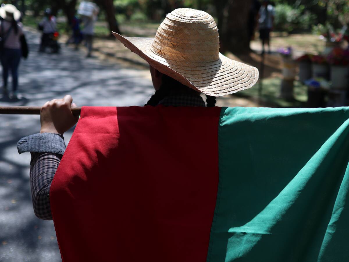 Alcalde de Zarzal denuncia que, sin informarles, ANT entregó tierras del municipio a minga