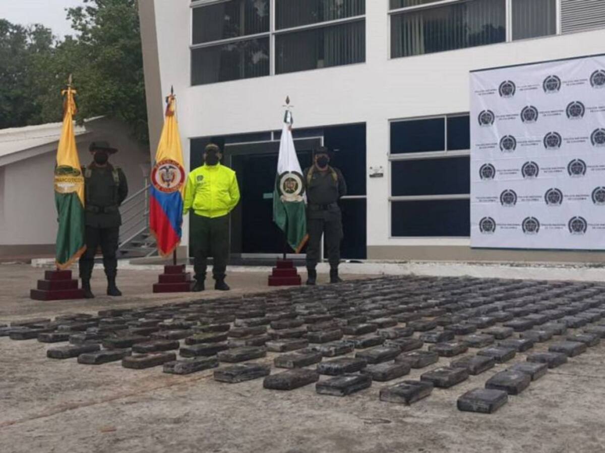 Conozca cómo la Policía afecta la economía del narcotráfico en el Magdalena