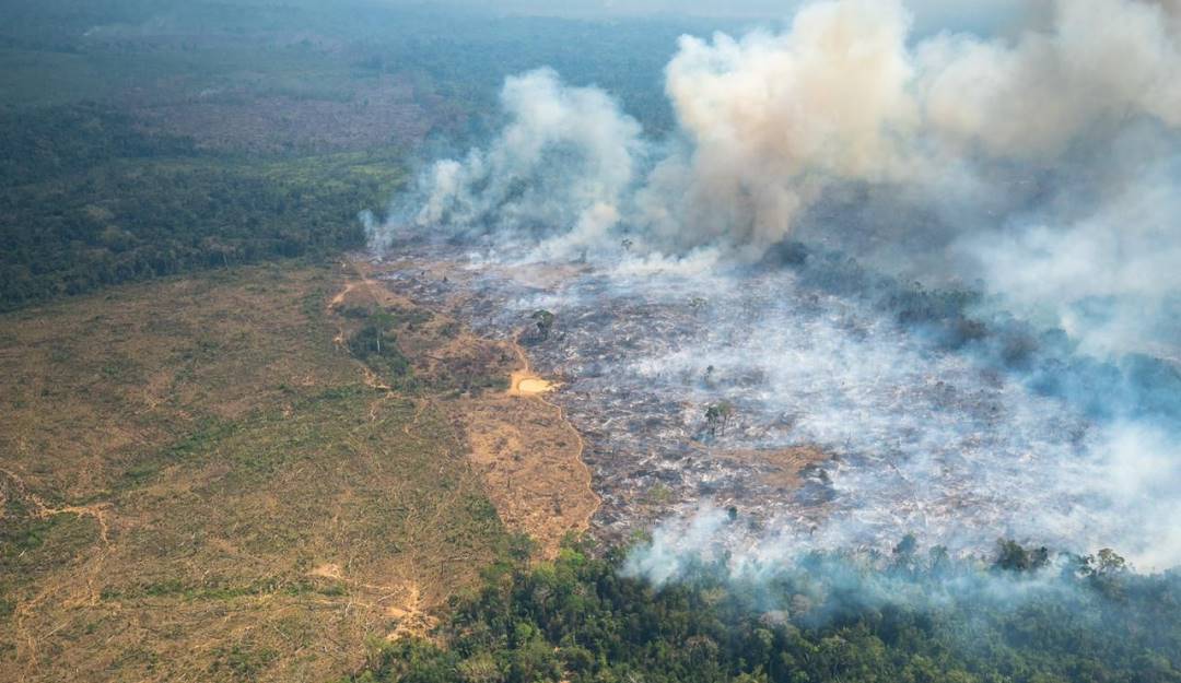 Incendios forestales en la Amazonía. Foto: Colprensa.
