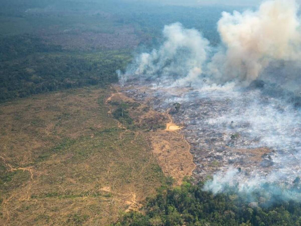 Gobierno crea grupo de vigías que verificará posibles incendios forestales