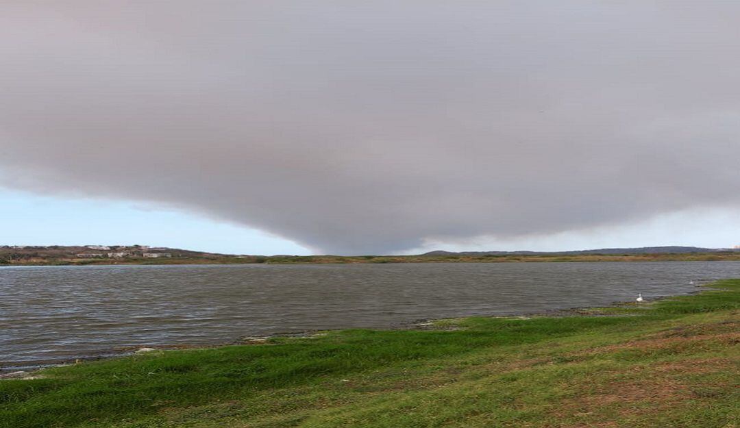 Incendio en el parque isla Salamanca.